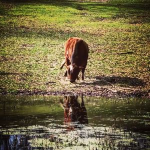 Meet your Posher, Karen